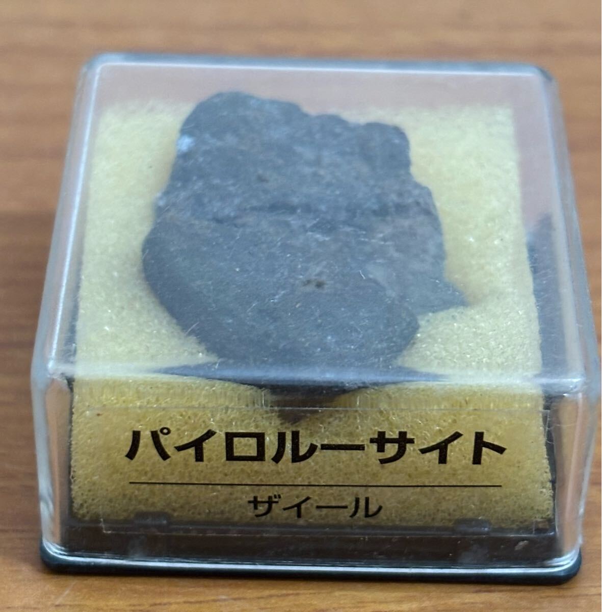 25072902