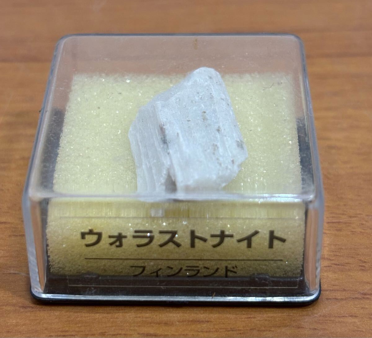 25072907