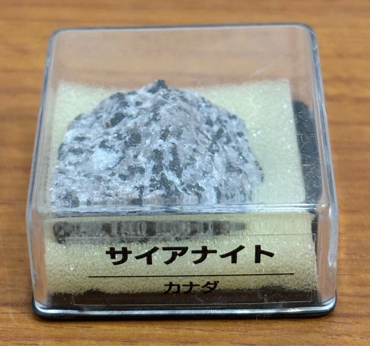 25072911