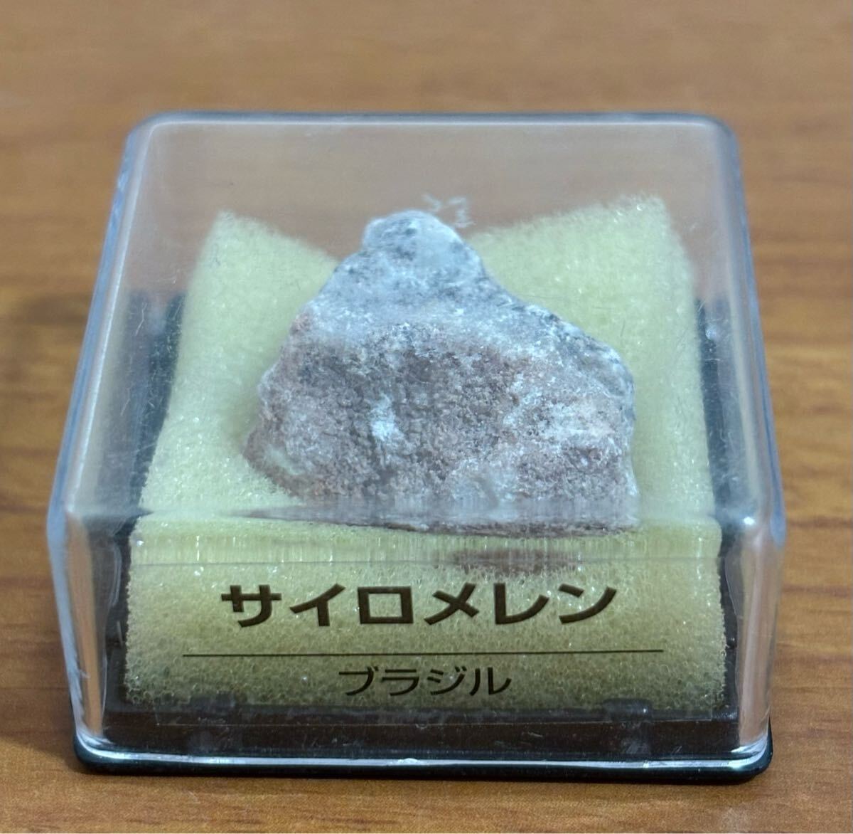 25071529
