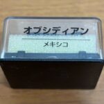 25072906
